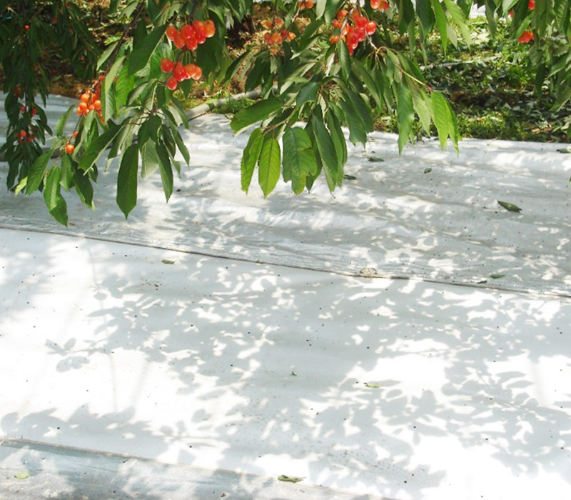 Insulation Fabric “Snow-Tex”