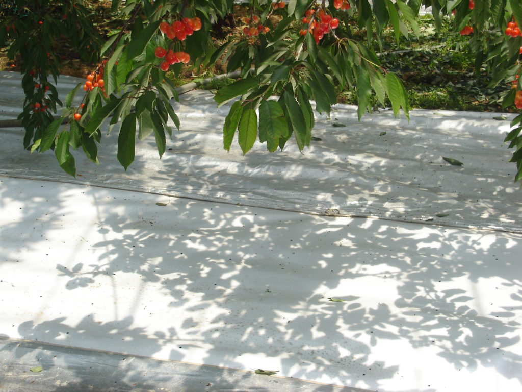 Insulation Fabric 