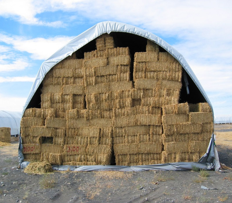 Agriculture