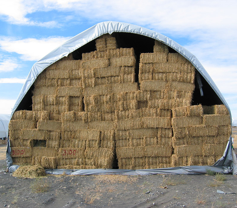 Agriculture